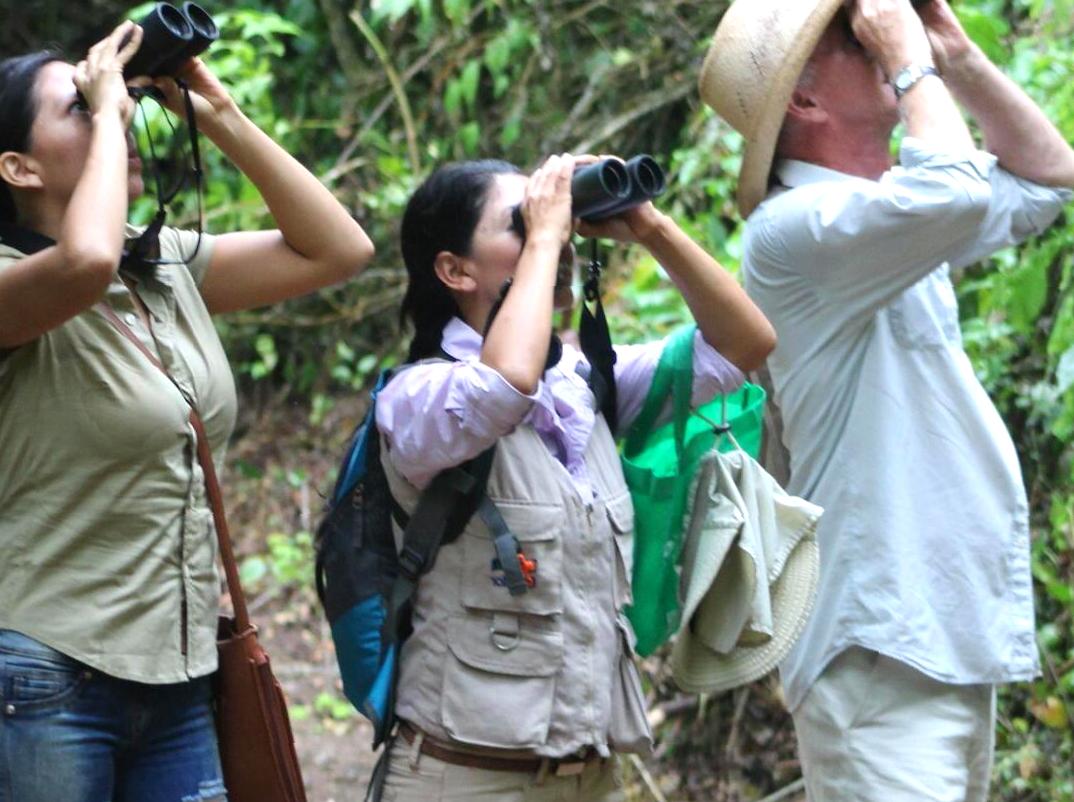 Visit Yellingbo Nature Conservation Reserve: Spot Enchanting and Rare Bird Species