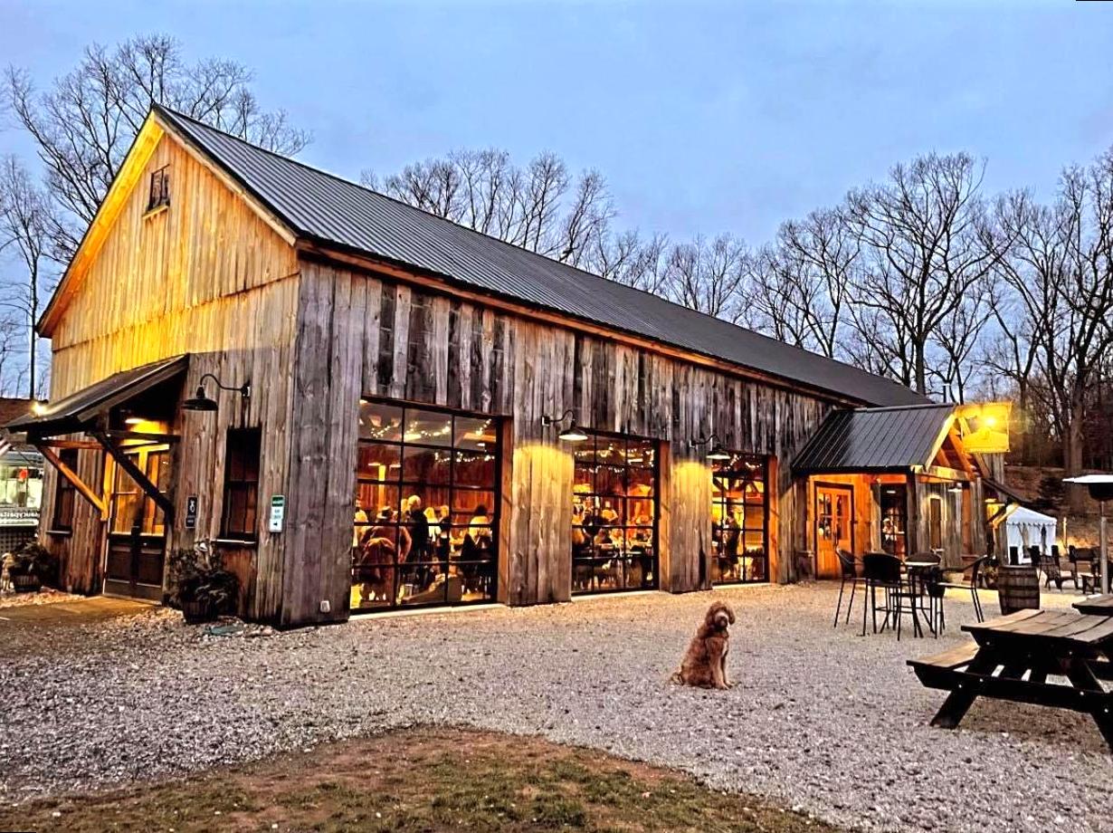 Discover the Craft of Beer Making on a Behind-the-Scenes Tour at Coldstream Brewery