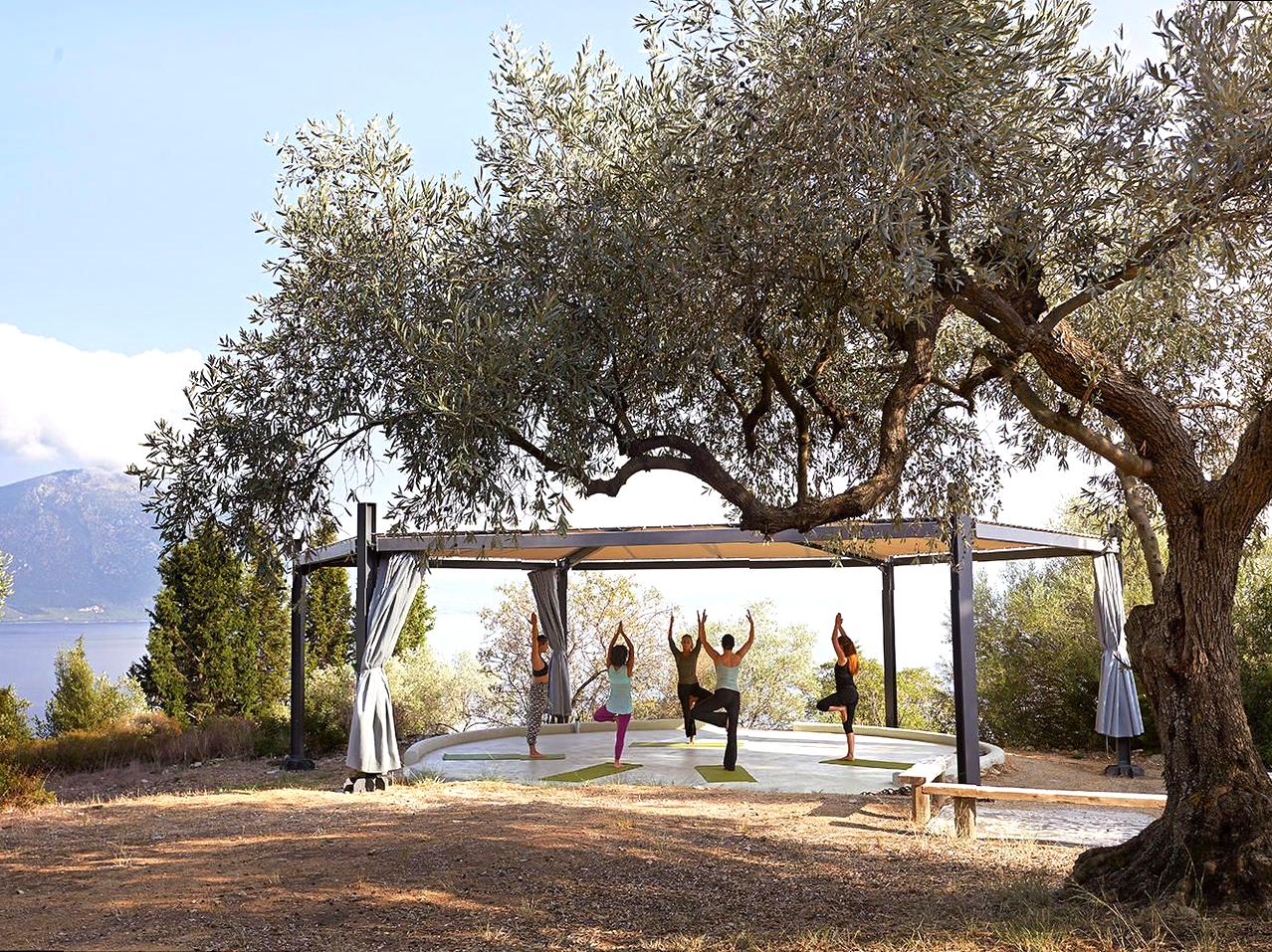 Refresh Your Mind and Body at a Serene Yoga Retreat Surrounded by Nature